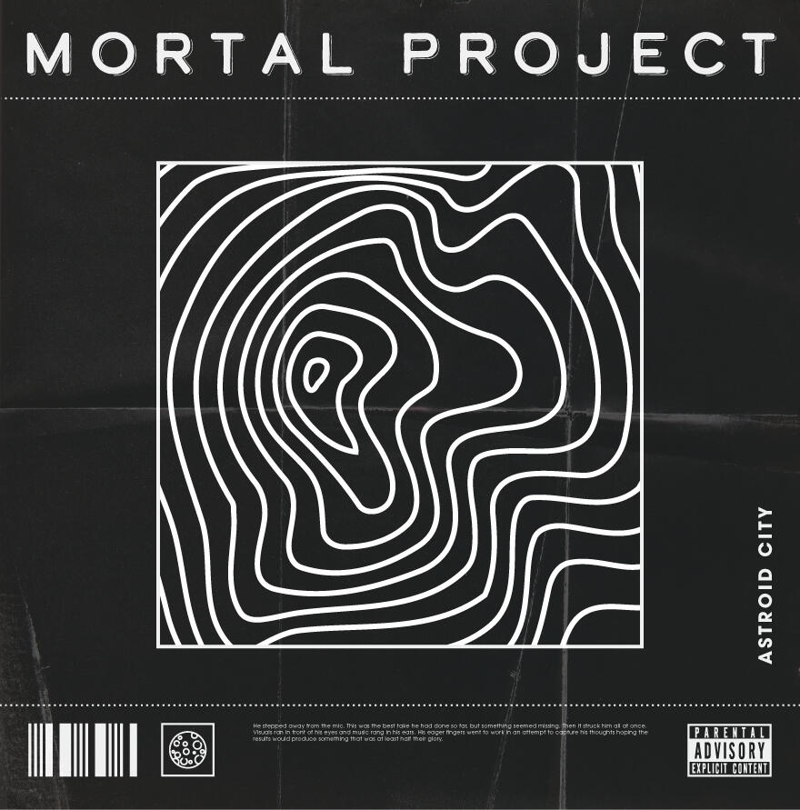 Int Heavy Metal Bedroom – Album Sleeves - Not used but I love it