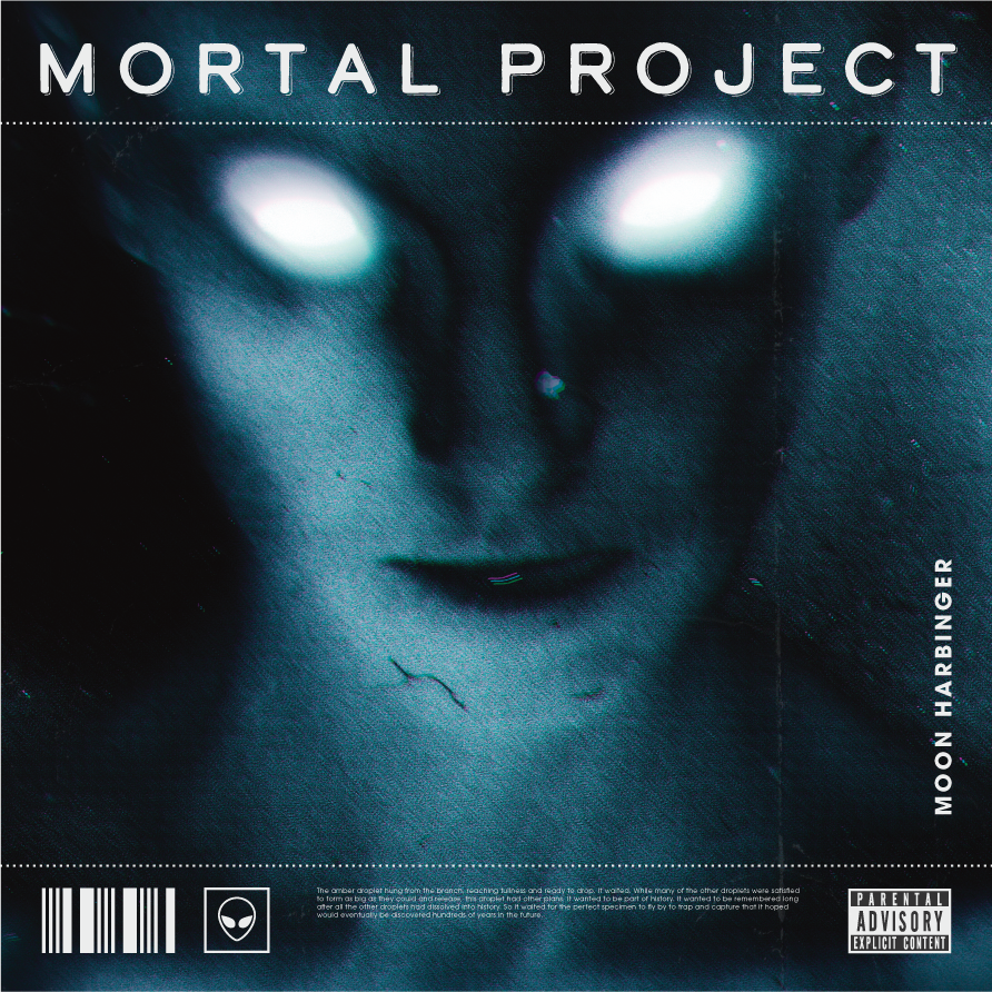 Int Heavy Metal Bedroom – Album Sleeves